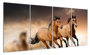 Koně - obraz (160x80cm)