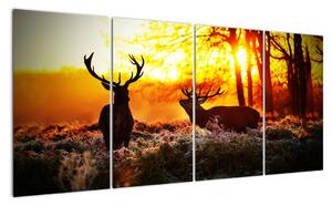 Fotka jelenů - obraz (160x80cm)