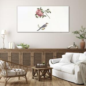 Obraz na skle Obraz na skle Zvířecí pták větev květina