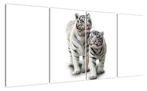 Tygr bílý - obraz (160x80cm)