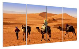 Velbloudi v poušti - obraz (160x80cm)