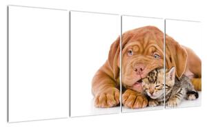 Štěně a kotě - obraz (160x80cm)