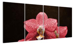 Růžová orchidej - obraz (160x80cm)