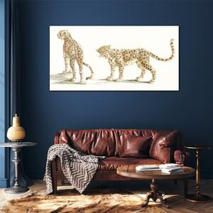 Obraz na skle Obraz na skle Zvířata kočky leopardi