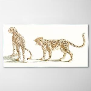 Obraz na skle Obraz na skle Zvířata kočky leopardi