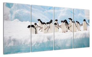 Tučňáci - obraz (160x80cm)