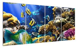 Podmořský svět - obraz (160x80cm)