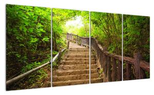 Schody v lese - obraz (160x80cm)