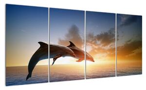 Delfíni - obraz (160x80cm)