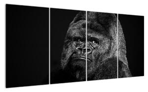 Obraz opice (160x80cm)