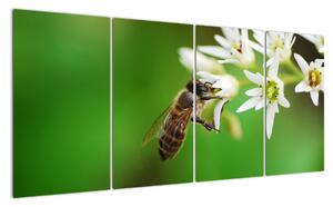 Fotka včely - obraz (160x80cm)