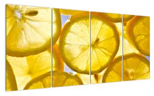 Plátky citrónů - obraz (160x80cm)