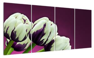 Makro tulipánů - obraz (160x80cm)