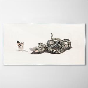 Obraz na skle Obraz na skle Kreslení zvířecí had motýl