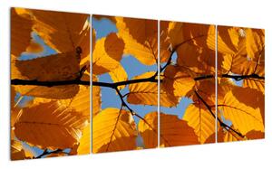Podzimní listí - obraz (160x80cm)
