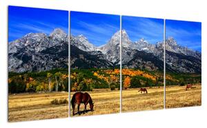 Panorama krajiny - obraz (160x80cm)