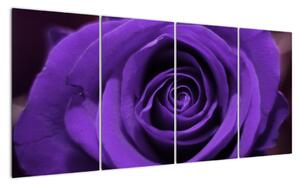 Detail růže - obraz (160x80cm)