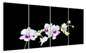 Květina - obraz (160x80cm)
