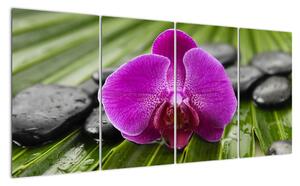 Orchidej - obraz (160x80cm)