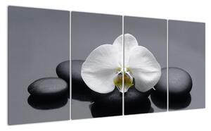 Květ orchideje - moderní obraz (160x80cm)