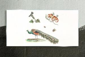 Obraz na skle Obraz na skle Kreslení zvířat pták květin
