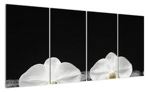 Orchideje - obraz (160x80cm)