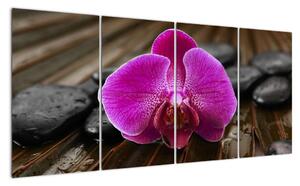 Obraz orchideje (160x80cm)