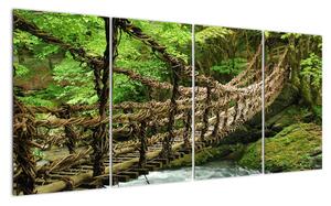Obraz - most v přírodě (160x80cm)