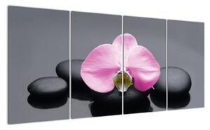 Květ orchideje - obraz (160x80cm)