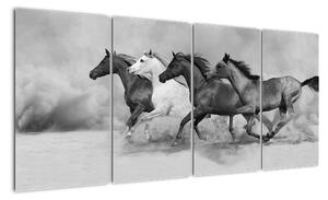 Obraz cválajících koňů (160x80cm)