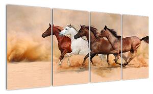 Obraz kůň (160x80cm)