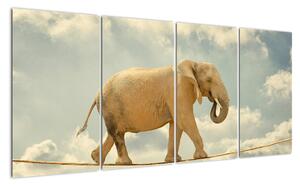 Slon na laně, obraz (160x80cm)