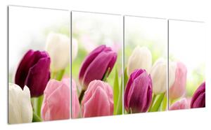 Tulipány, obrazy (160x80cm)