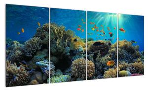 Obraz podmořského světa (160x80cm)