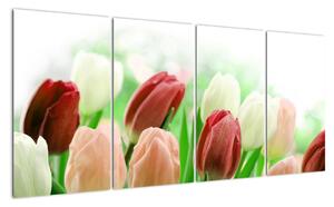 Tulipány, obraz (160x80cm)