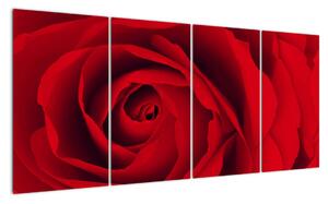 Detail červené růže - obraz (160x80cm)