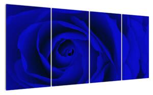 Detail modré růže - obraz (160x80cm)