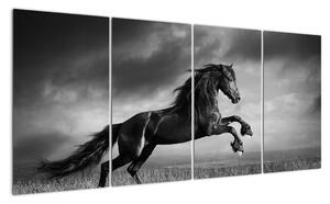 Obraz koně na stěnu (160x80cm)