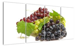 Hroznové víno - obrazy (160x80cm)