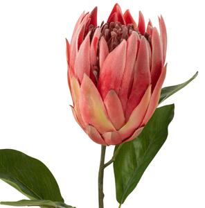 Umělá květina J-line Proteas 67 cm