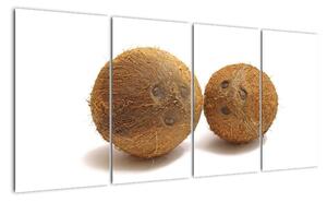 Kokosový ořech, obraz (160x80cm)
