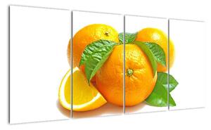 Pomeranče, obraz (160x80cm)