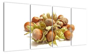 Lískové ořechy - obrazy (160x80cm)
