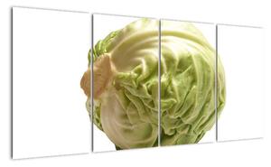 Hlávkové zelí, obraz (160x80cm)