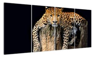 Leopard, obraz (160x80cm)