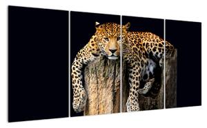 Leopard, obraz (160x80cm)