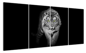 Tygr černobílý, obraz (160x80cm)