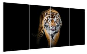 Tygr, obraz (160x80cm)
