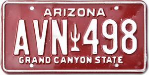 Americká SPZ Arizona Red Cactus AVN 498