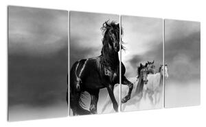 Černobílý obraz koňů (160x80cm)